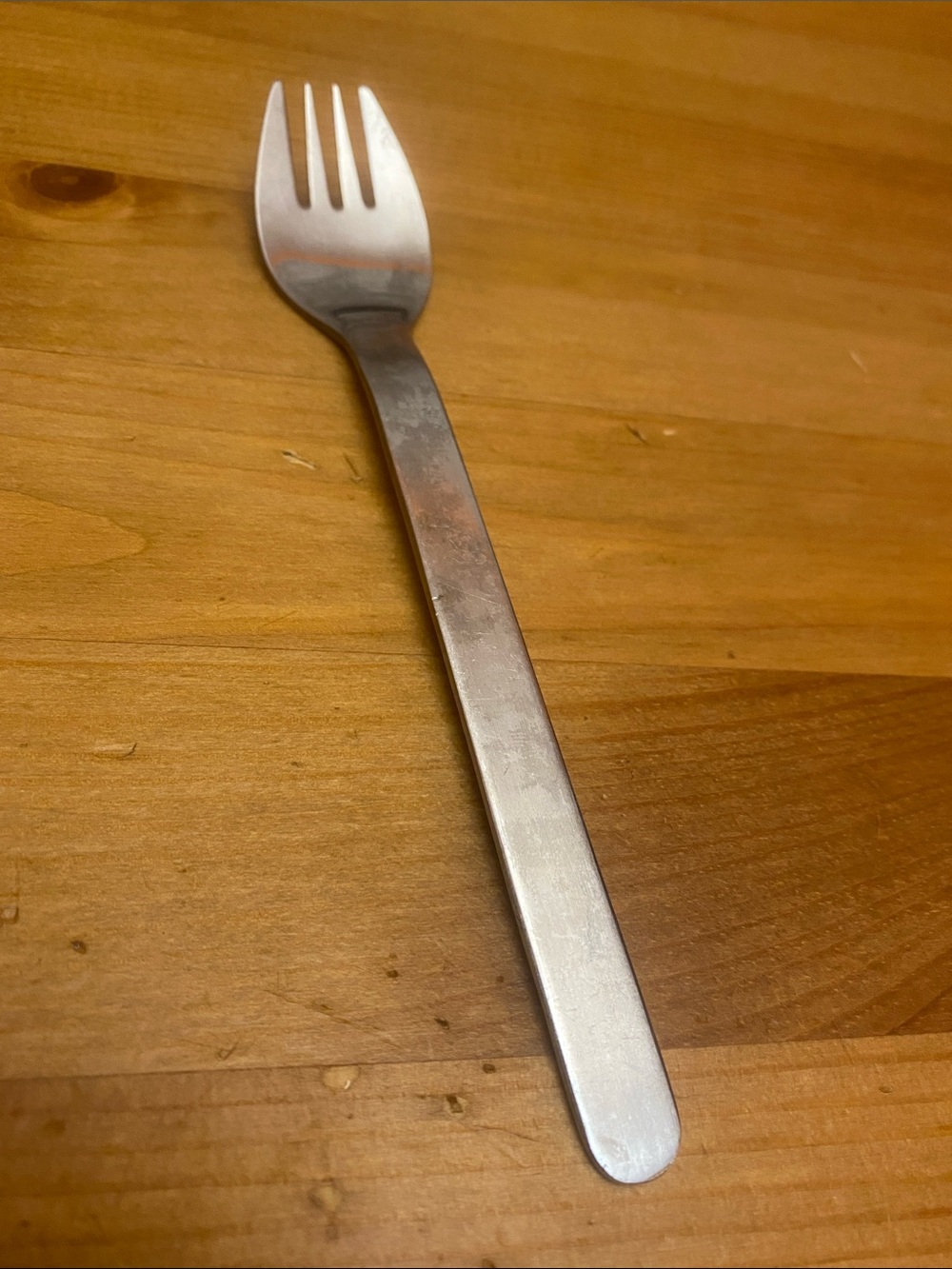 RJ Sola brand Stainless Steel Long Handle Fork in Silver